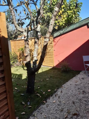 Un jardin en ville